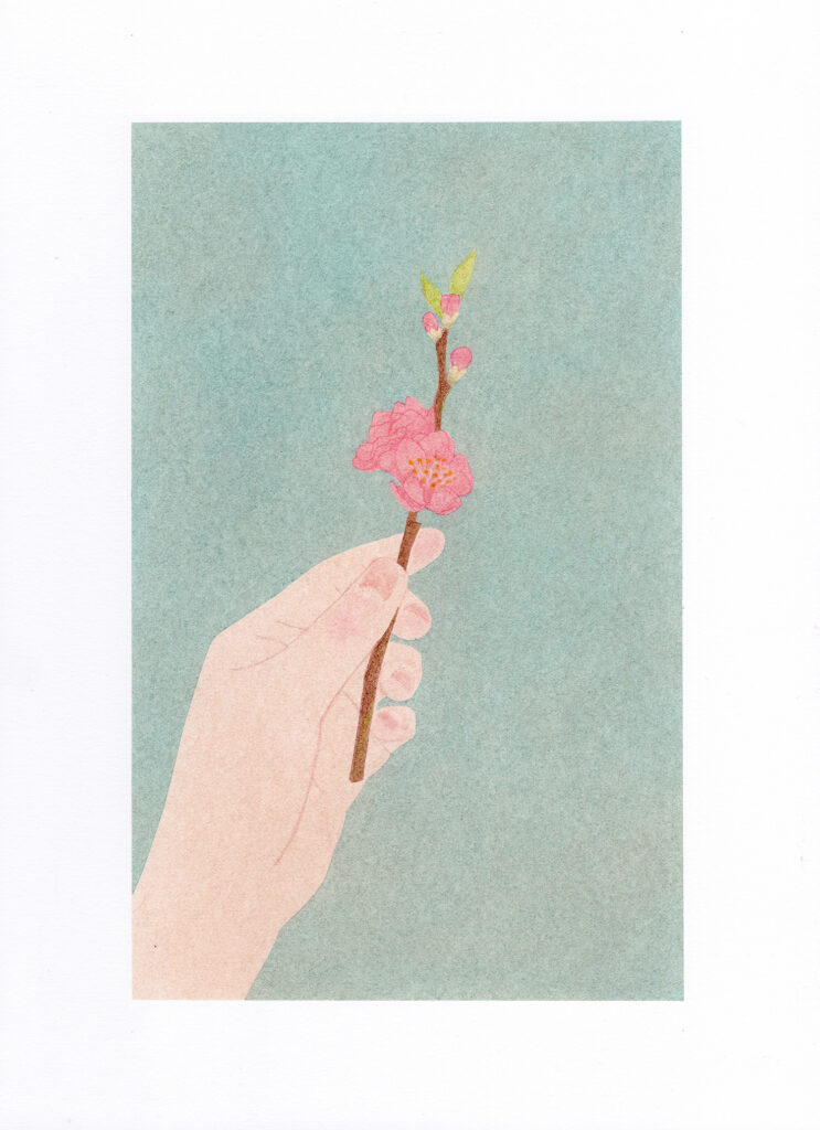 洞智子作品展「桃の花」メインイラスト桃の花を一枝持った左手の優しい色合いの色鉛筆のイラスト